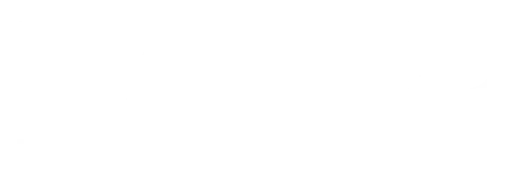Rapid Investment